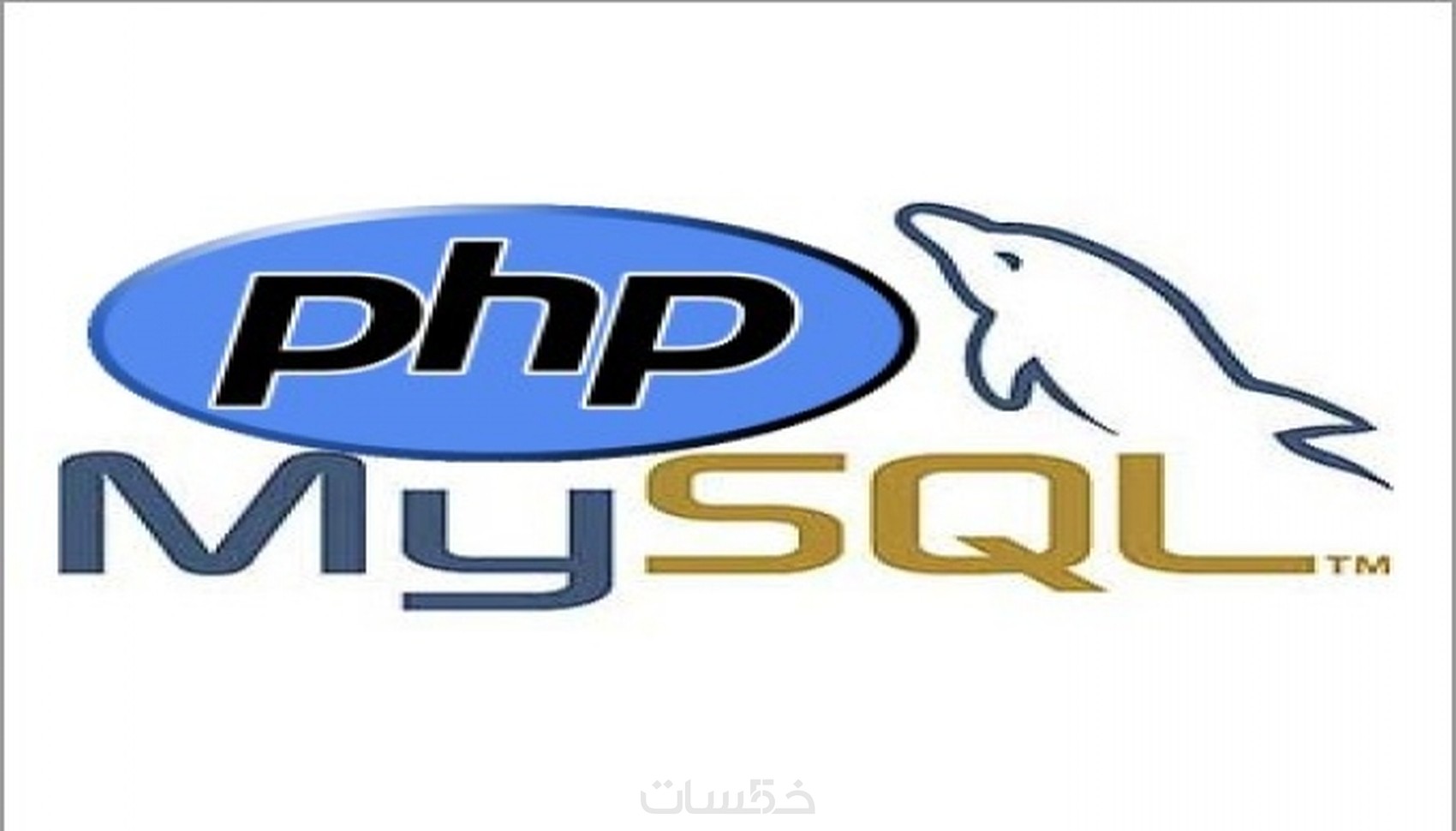  php mysql 
