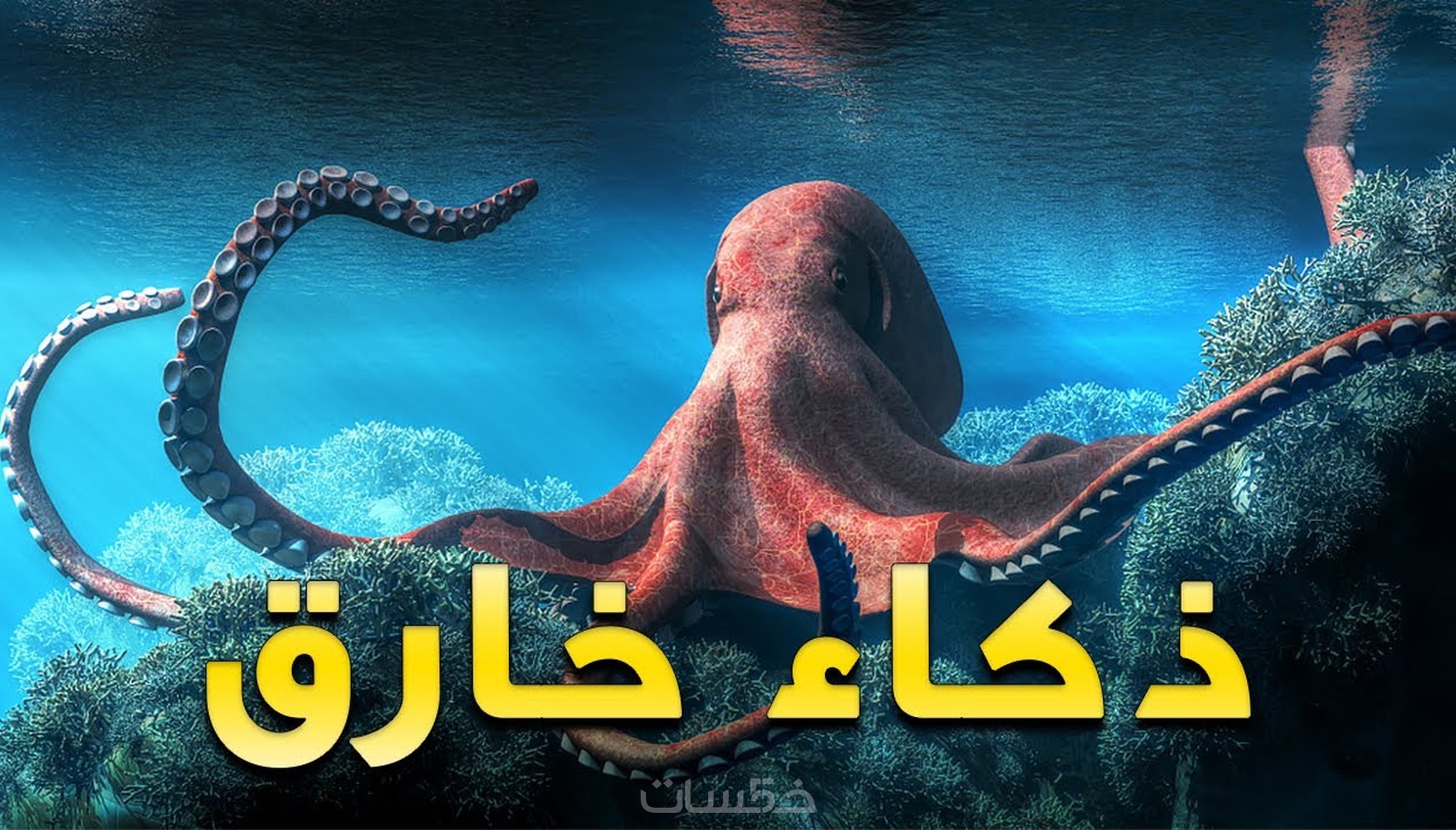 تعليق صوتي احترافي (لغة عربية فصحى او باللهجة المصرية) - خمسات