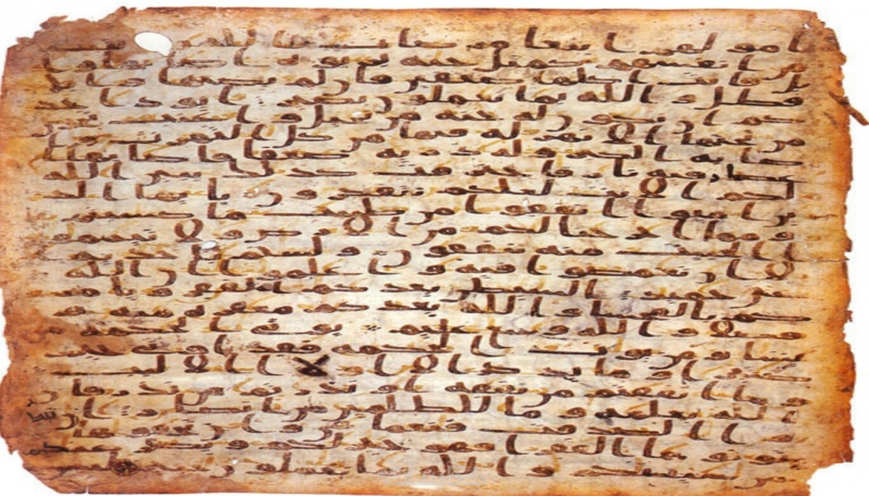 volver al futuro shoes