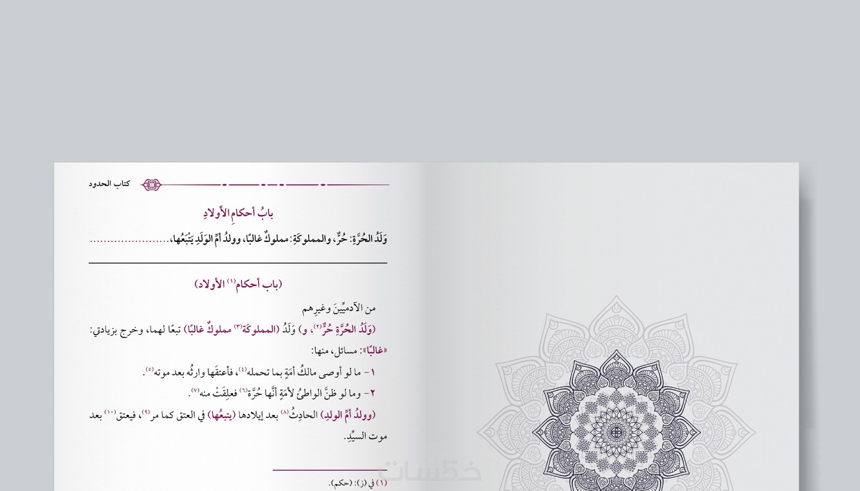 تصميم كتب بجودة عالية عبر تطبيق Adobe InDesign - خمسات