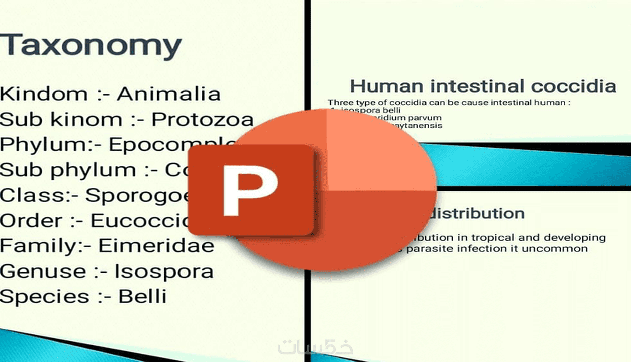 تصميم عروض باوربوينت بتصاميم حديثة وجميلة خمسات