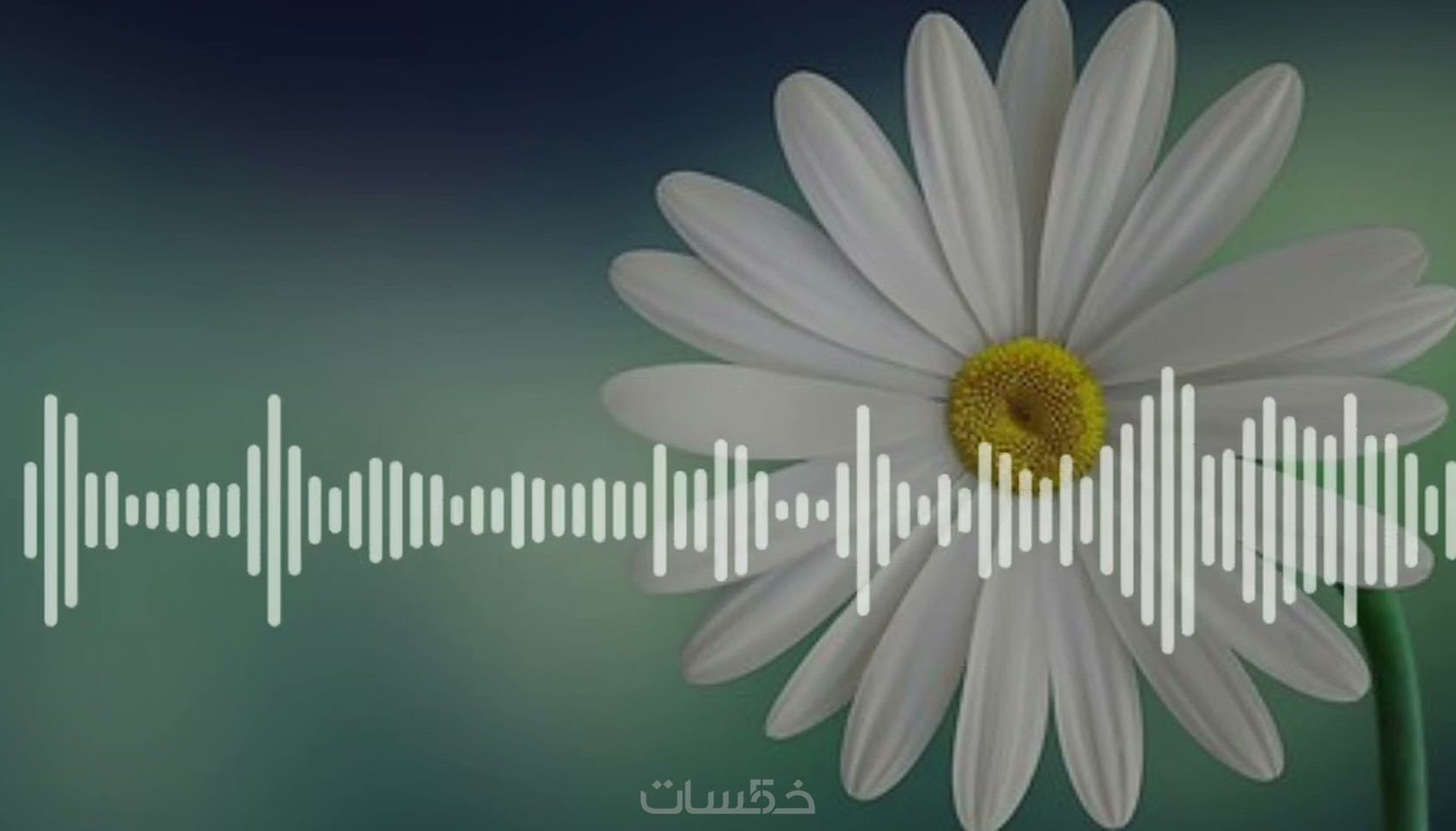تعليق صوتي باللغة العربية الفصحى - خمسات