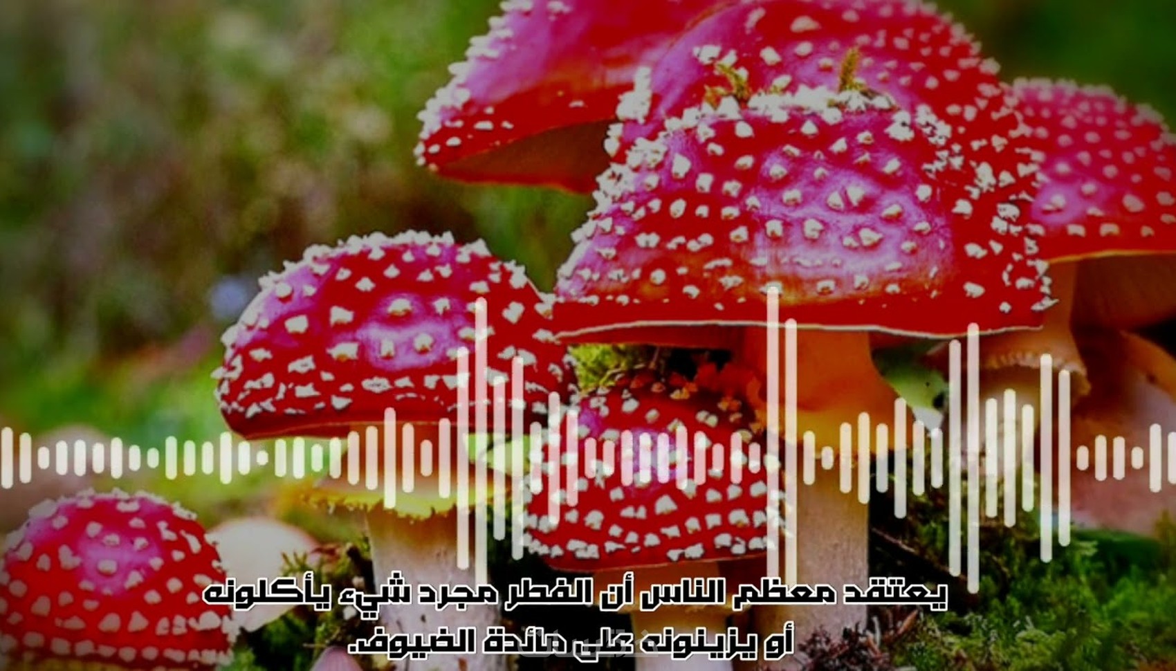 تعليق صوتي باللغة العربية الفصحى - خمسات