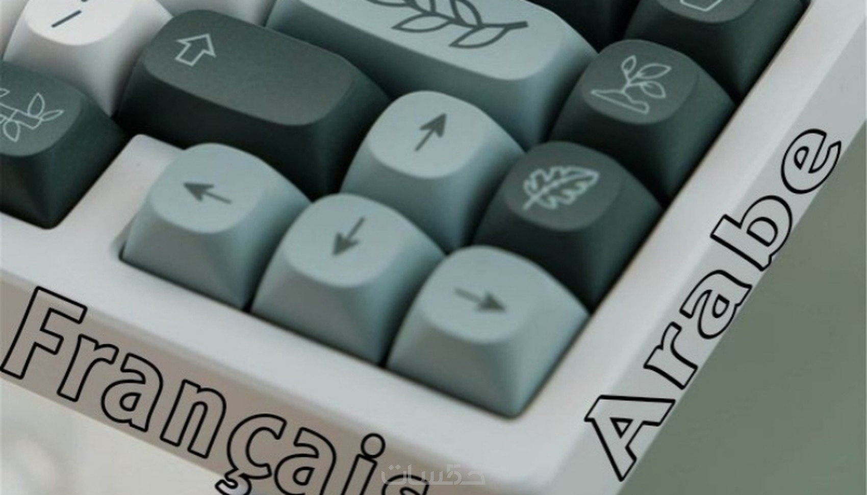 ترجمة نصوص من الفرنسية الى العربية و العكس - خمسات