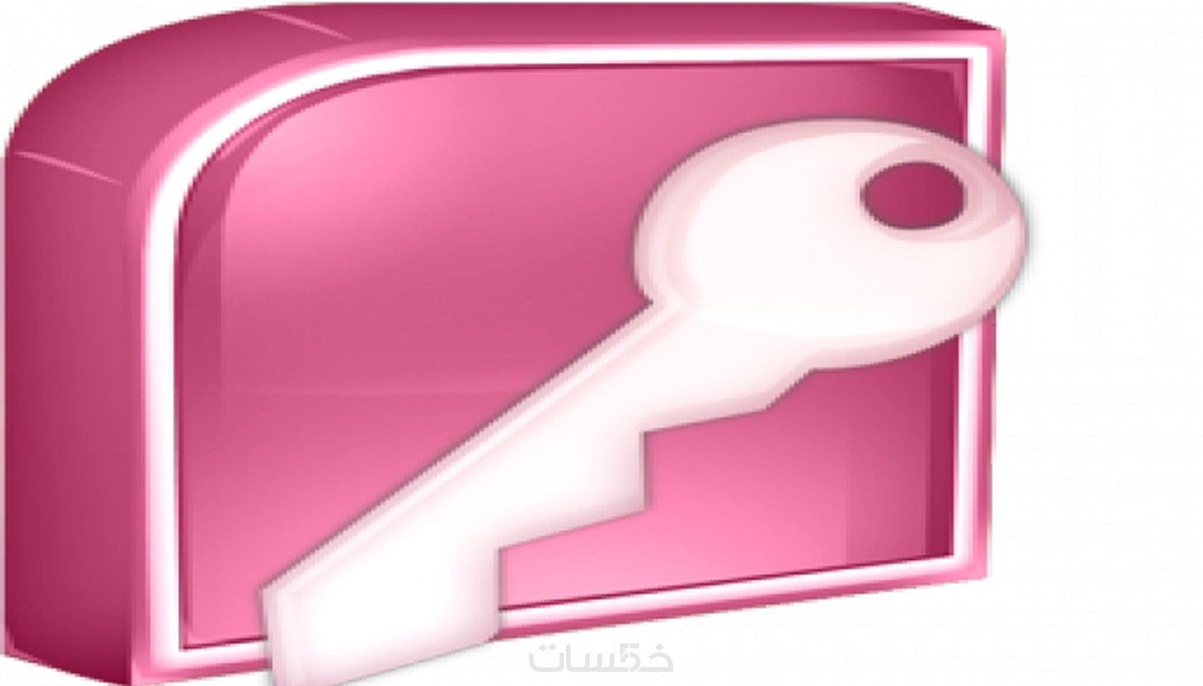 ادخال بيانات على برنامج Microsoft Access - خمسات