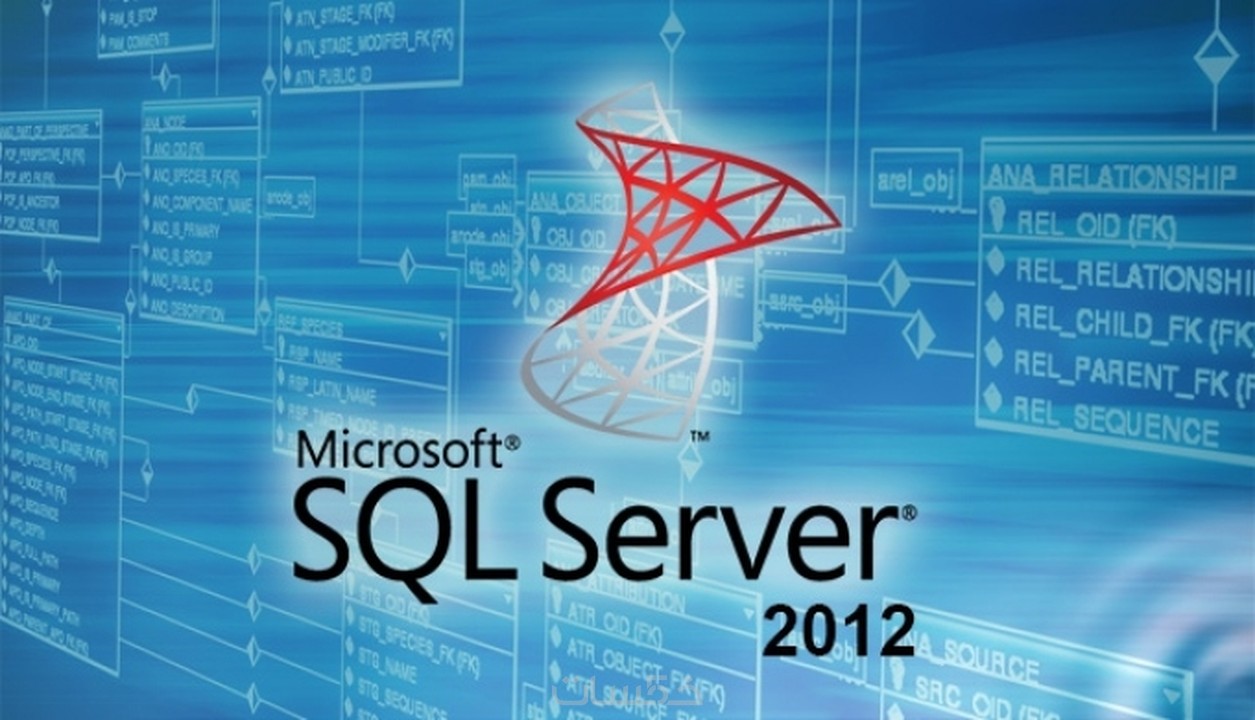 تصميم قواعد البيانات SQL Server فقط ب5 خمسات